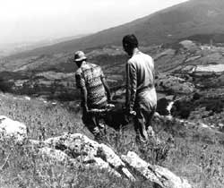 Istituto Arti Pubbliche > I Sassi di Davide