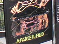 Elena Salvini Pierallini