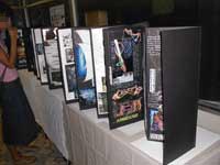 Elena Salvini Pierallini