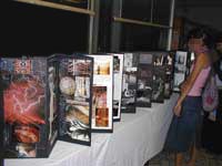 Elena Salvini Pierallini